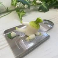スライディング大根おろし