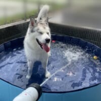 気持ち良さそうに満面の笑みを浮かべる、じょんすのーくん