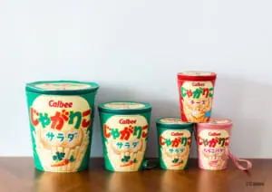 じゃがりこ初の公式ブック誕生 特別付録はじゃがりこポーチ