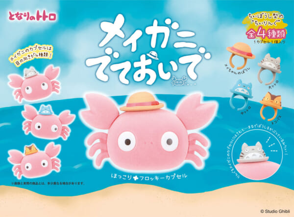 となりのトトロ メイガニでておいで