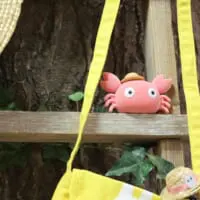となりのトトロ メイガニでておいで　イメージ