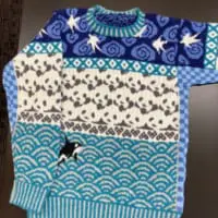 「お気に入りの場所」という和歌山県「南紀白浜アドベンチャーワールド」をイメージしたセーター。