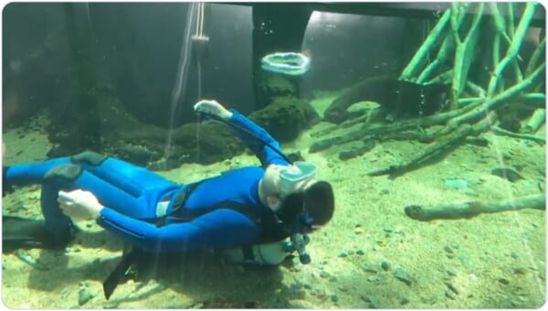 画像提供：栃木県なかがわ水遊園公式Twitter（@tnapofficial）