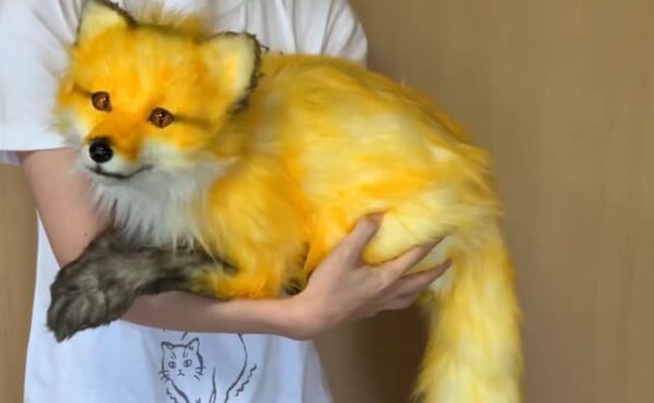 まるで本物！リアルに動く実物大のキツネぬいぐるみにびっくり