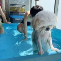 ガックリ肩を落としているみかんちゃん