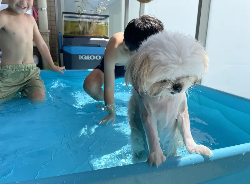ガックリ肩を落としているみかんちゃん