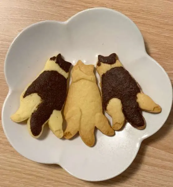クッキーになったおもちちゃん