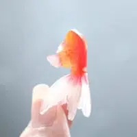 プラバンの金魚（ひねこさん提供）