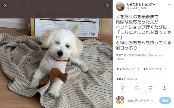 私はあなたにゾッコンです。動物嫌いの夫を一変させたわんこ。