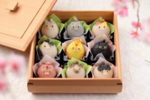 可愛すぎて食べるのがもったいない！箱いっぱいに詰められた和菓子猫