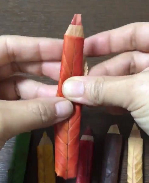 鉛筆のボディの部分に使用する落ち葉を重ねて丸める