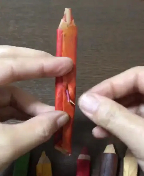 コツは、巻いた葉を葉柄で留める時に思いきり爪で穴を開けて、葉柄を深くさし込むこと
