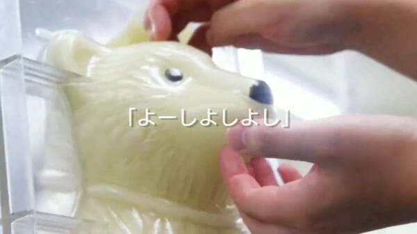 チョコっと変？熊型チョコの制作動画に反響　ポイントは「褒めて伸ばす」