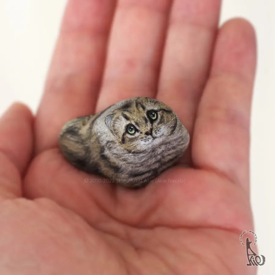 穏やかなお顔で見つめるねこジオード有り瑪瑙素敵な逸品