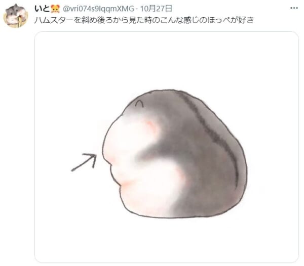 このアングルが好き。斜め後ろから見たハムスターのほっぺのイラストに共感。