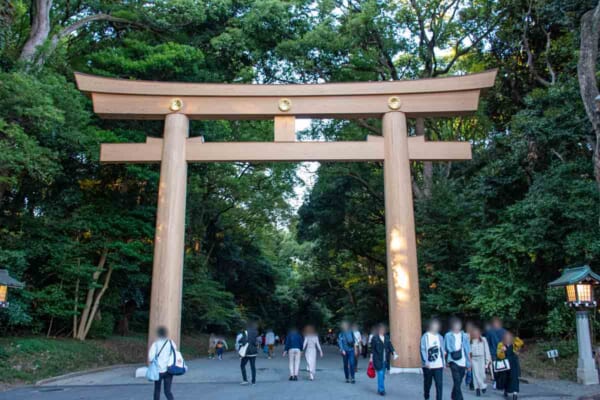 明治神宮表参道の鳥居