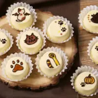 さらにおいしいチーズケーキ～福ねこセット～6個入　イメージ