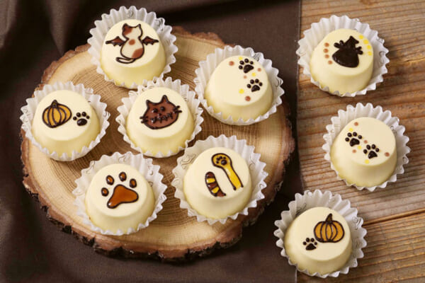 さらにおいしいチーズケーキ～福ねこセット～6個入　イメージ