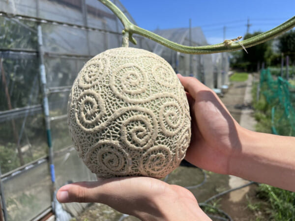 「ゴムゴムの実」を再現したファンアートのデザインメロン（エトオさん提供）