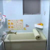 ミニチュアとは思えない出来栄え