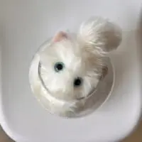 狭い容器に難なく入り込んでしまいます