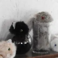 「猫は液体」を完全再現