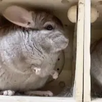 取られた瞬間、「え……」と一瞬動きが止まります