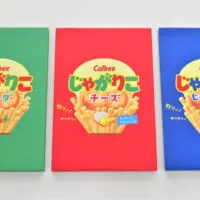 じゃがりこご朱印帳　裏面