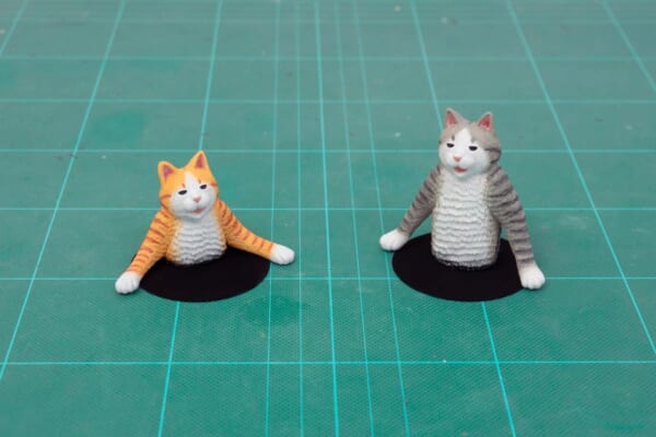 口を開けた暗黒から猫が召喚されたように見える（めーちっさいさん提供）