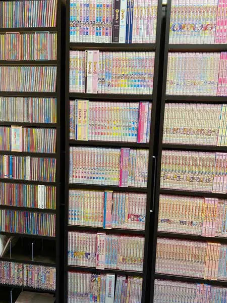 祥太さんのブルーレイ・DVD・CDコレクションの一部（祥太さん提供）