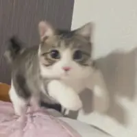すきあり！