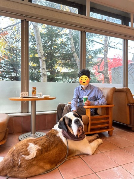 大型犬がドーンとおもてなし　全席ソファに無料駐車場……「生セントバーナード完備」のカフェが話題