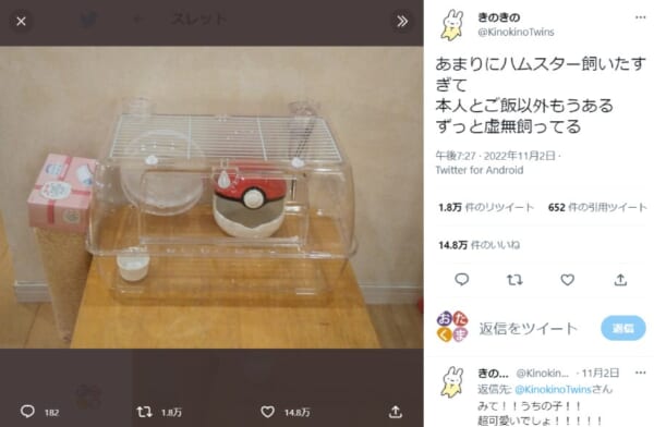 目を凝らせば見えてくる……？ハムスターならぬ虚無スター飼育現場に大反響