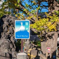 富士塚の山頂
