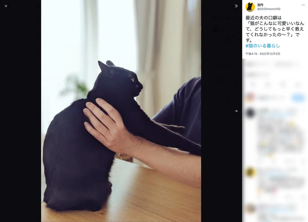 口癖のツイート（スクリーンショット）