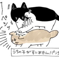 「邪魔しちゃダメでしょ！」と子猫をたしなめるお母さん猫（AKRさん提供）