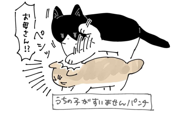 「邪魔しちゃダメでしょ！」と子猫をたしなめるお母さん猫（AKRさん提供）