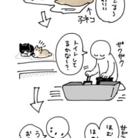 猫トイレ掃除中にちょっかいを出すみたらしちゃん（AKRさん提供）