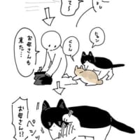 みたらしちゃんをとがめるまめお母さん（AKRさん提供）