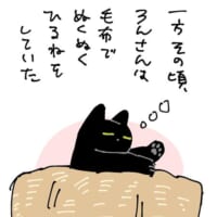 何も知らず昼寝するろんくん（AKRさん提供）