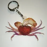 カニやエビなどの甲殻類。