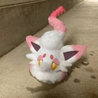 初めての雪像づくりでポケモン「ヒスイゾロア」に挑戦　大きさまで完全再現