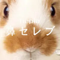 ホーランドロップイヤー