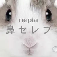 ミニウサギ