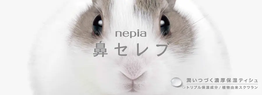 ミニウサギ
