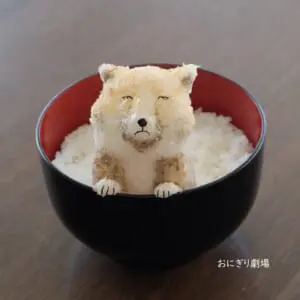 チベットスナギツネになります チベットスナギツネがおにぎりに！完全再現された虚無顔に爆笑