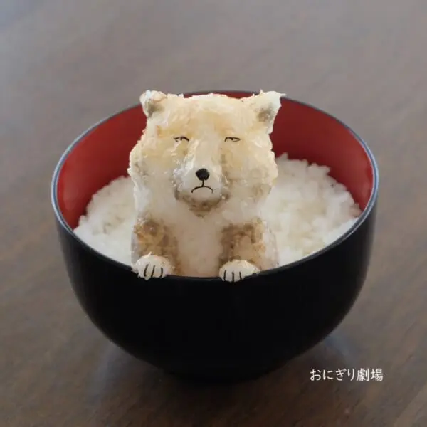チベットスナギツネがおにぎりに！完全再現された虚無顔に爆笑