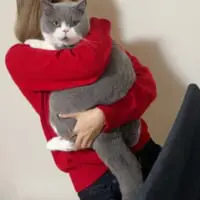 抱きかかえると飼い主の胴体を覆い尽くすほどでっかわいい八海山くん。