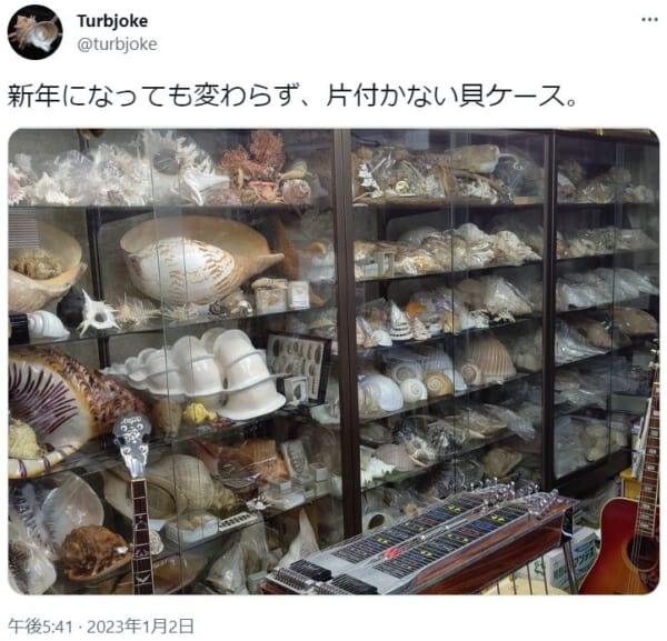 ああ素晴らしきセカイ。その道50年超の貝マスターがコレクションを紹介。