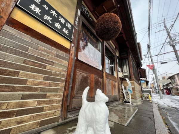 最強寒波もニャンのその。佐々木酒造社員作「ネコダルマ」にみんなも社長さんもほっこり。